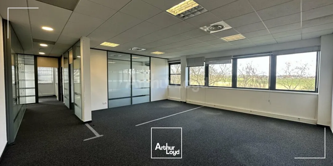 Bureaux - Location - SCHILTIGHEIM - 67300 - 69-1048 - 7752287