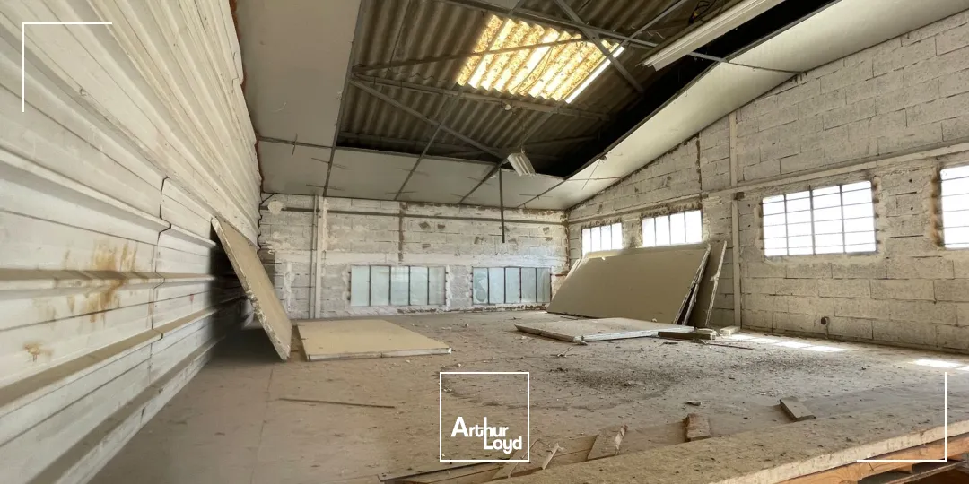 Locaux d'activité & Entrepôts - Location - SAUVIAN - 34410 - 26-596 - 7753671