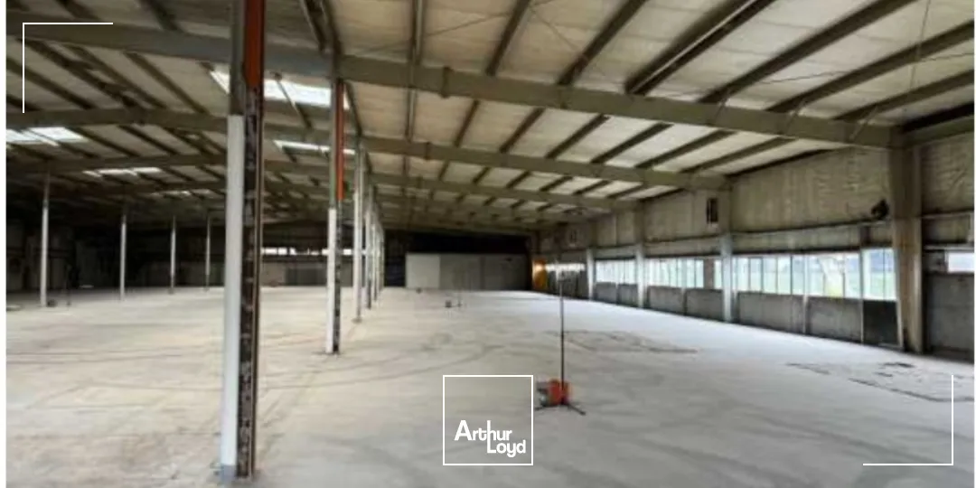 Locaux d'activité & Entrepôts - Location - SAINT ETIENNE - 42000 - 1050-2400 - 7757264