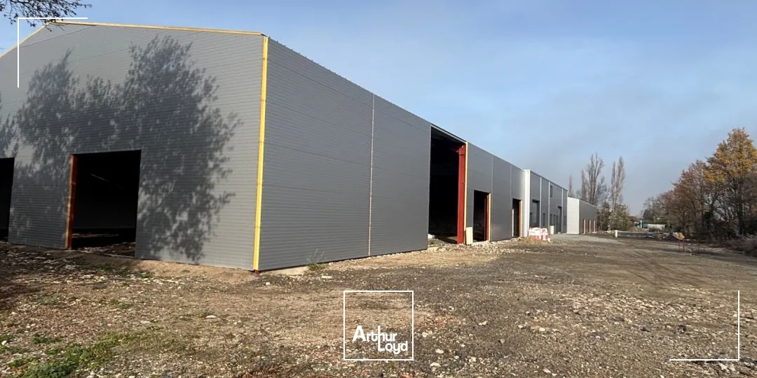 Locaux d'activité & Entrepôts - Vente - SAVIGNEUX - 42600 - 792-792 - 7757453