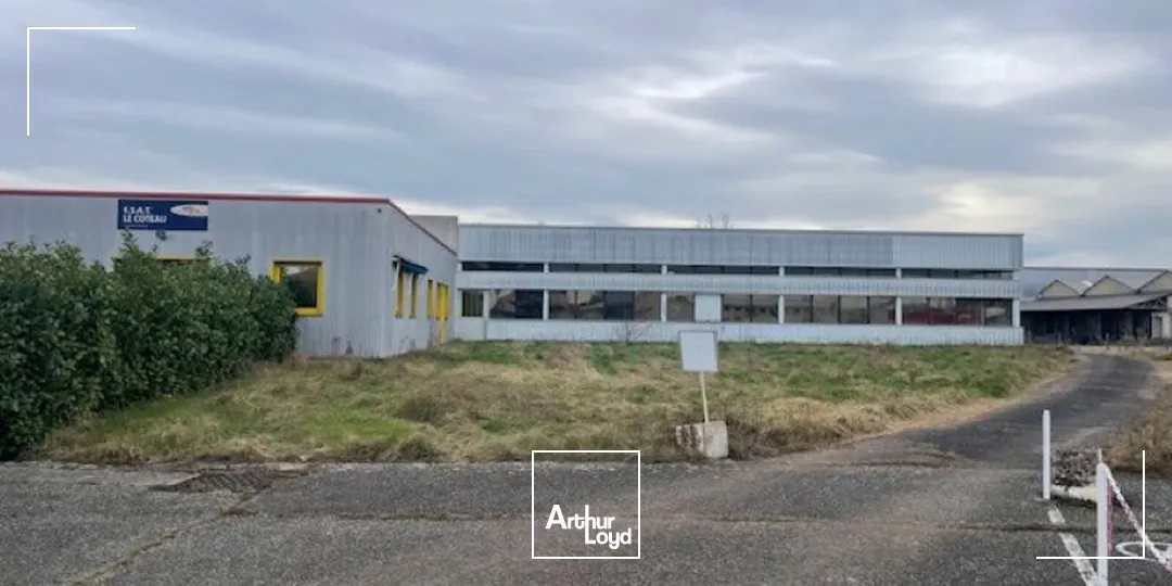 Locaux d'activité & Entrepôts - Vente - LE COTEAU - 42120 - 490-490 - 7757612