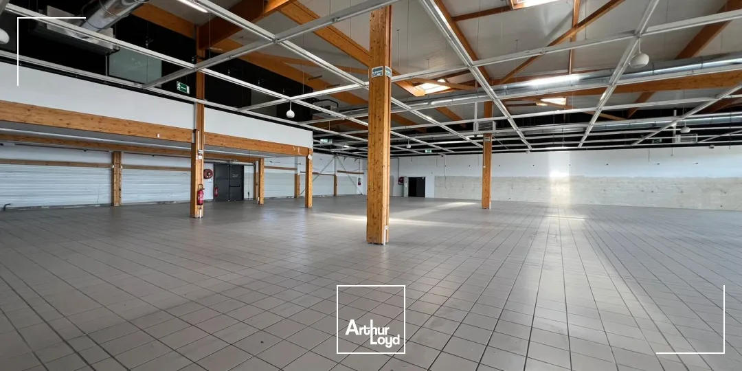 Locaux commerciaux - Location - MONTBRISON - 42600 - 1140-1140 - 7757722