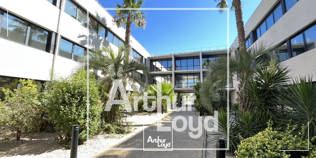 Bureaux - Location - PEROLS - 34470 - 257.79-2210.72 - 7758217