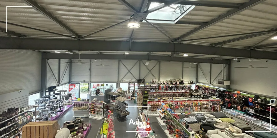 Locaux d'activité & Entrepôts - Vente - THIONVILLE - 57100 - 705-705 - 7761709