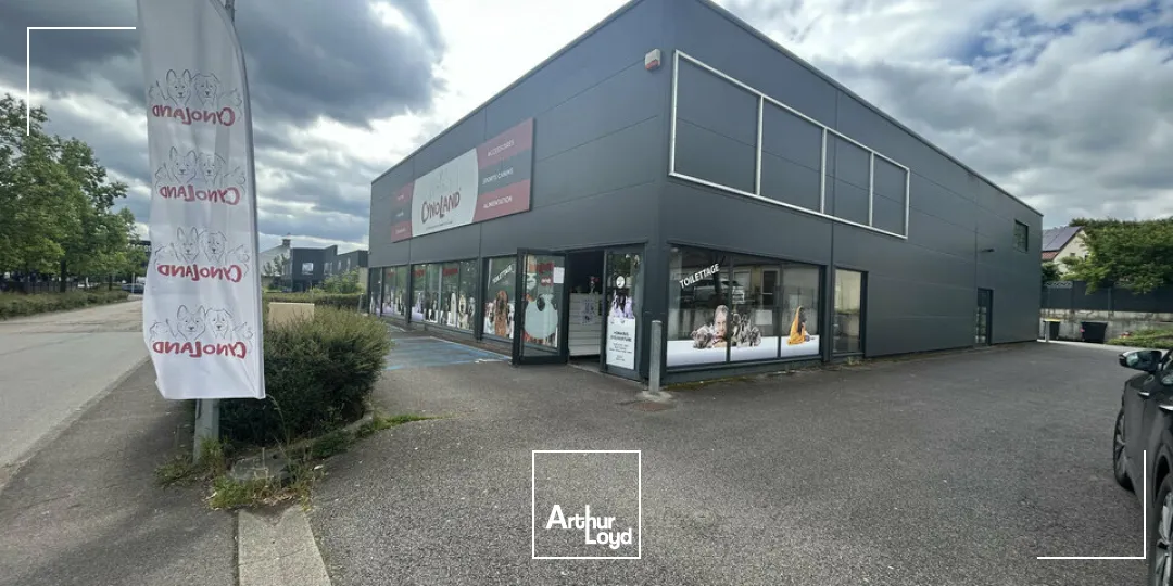 Locaux d'activité & Entrepôts - Vente - THIONVILLE - 57100 - 705-705 - 7761703