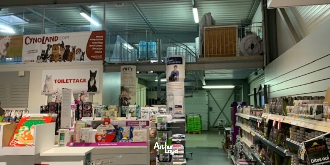 Locaux d'activité & Entrepôts - Vente - THIONVILLE - 57100 - 705-705 - 7761706