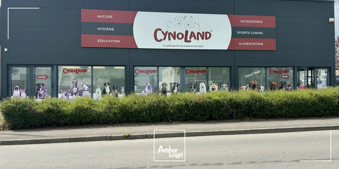 Locaux d'activité & Entrepôts - Vente - THIONVILLE - 57100 - 705-705 - 7761701