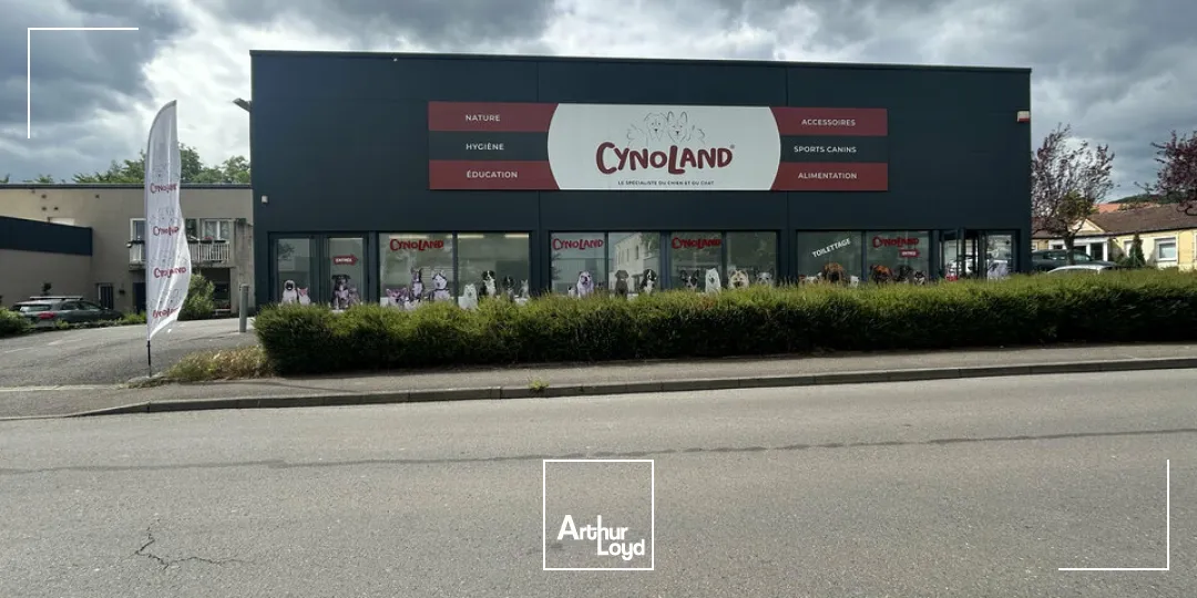 Locaux d'activité & Entrepôts - Vente - THIONVILLE - 57100 - 705-705 - 7761702
