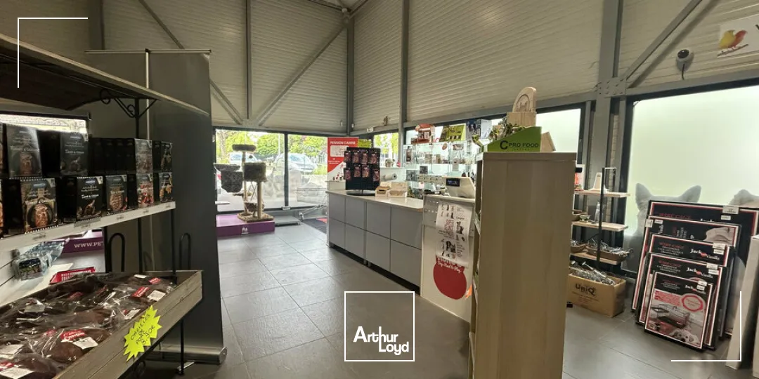 Locaux d'activité & Entrepôts - Vente - THIONVILLE - 57100 - 705-705 - 7761712
