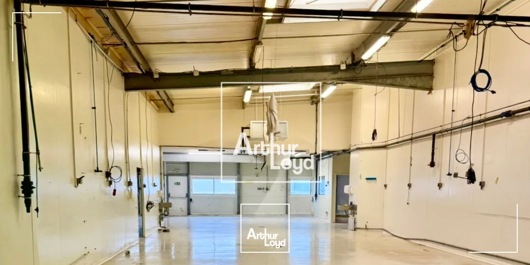 Locaux d'activité & Entrepôts - Location - FRONTIGNAN - 34110 - 2412-2412 - 7761870
