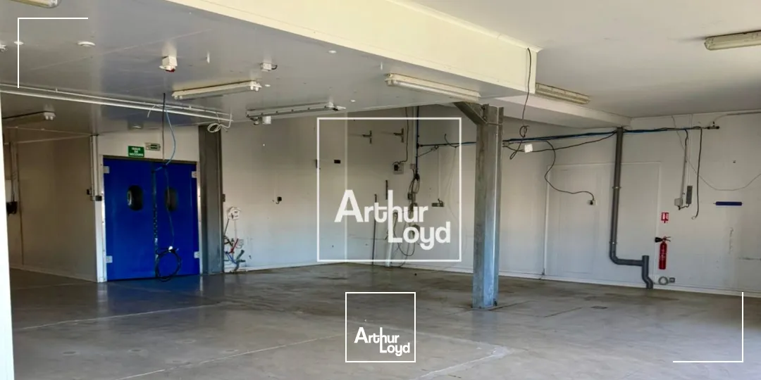 Locaux d'activité & Entrepôts - Vente - FRONTIGNAN - 34110 - 2412-2412 - 7761878