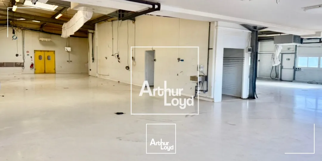 Locaux d'activité & Entrepôts - Vente - FRONTIGNAN - 34110 - 2412-2412 - 7761875