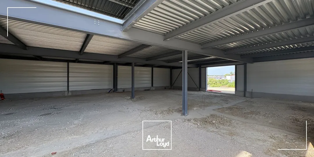 Locaux d'activité & Entrepôts - Vente - INGRE - 45140 - 480-480 - 7762082