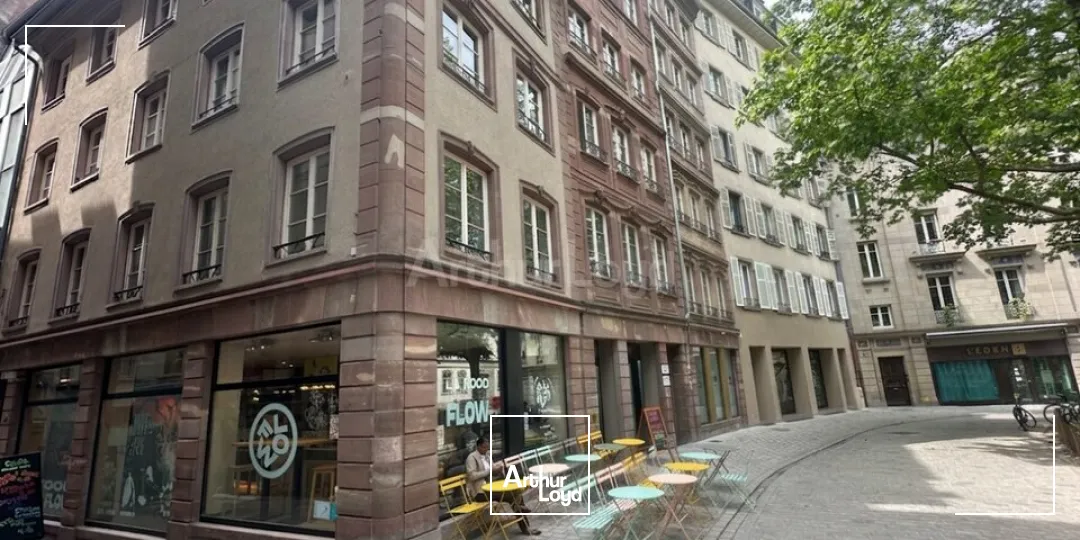 Bureaux - Location - STRASBOURG - 67000 - 59-164 - 7762650