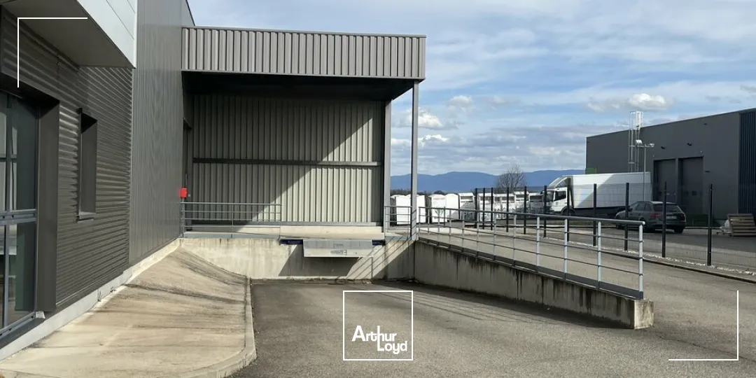 Locaux d'activité & Entrepôts - Location - WEYERSHEIM - 67720 - 574-574 - 7762666