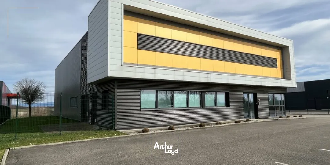 Locaux d'activité & Entrepôts - Location - WEYERSHEIM - 67720 - 574-574 - 7762663