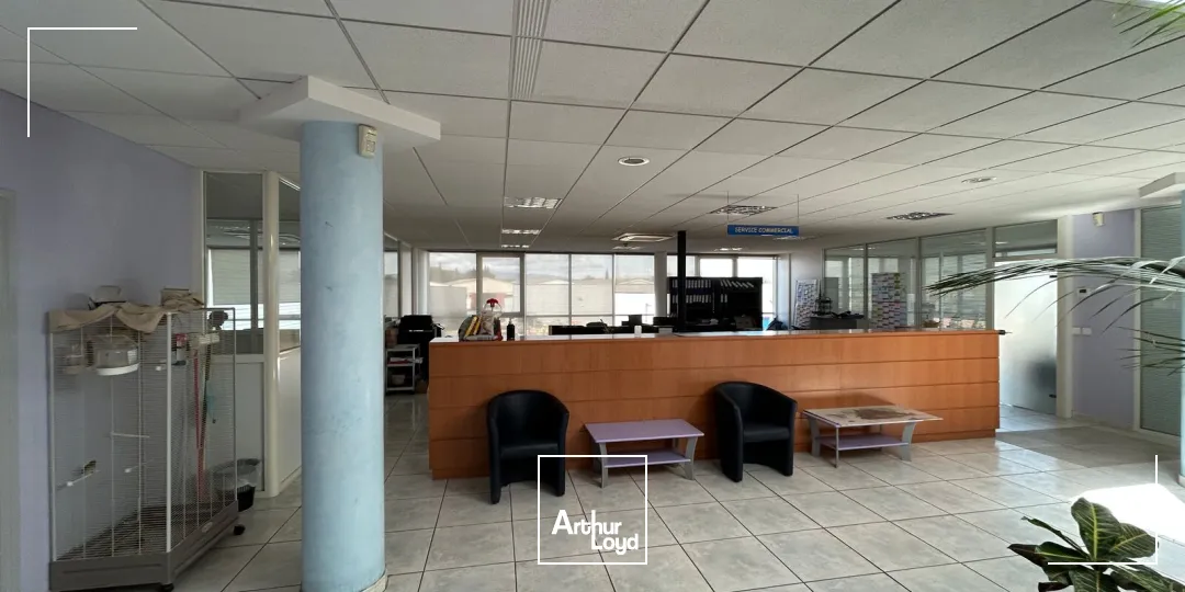 Locaux d'activité & Entrepôts - Location - PERPIGNAN - 66000 - 4267-4267 - 7763092