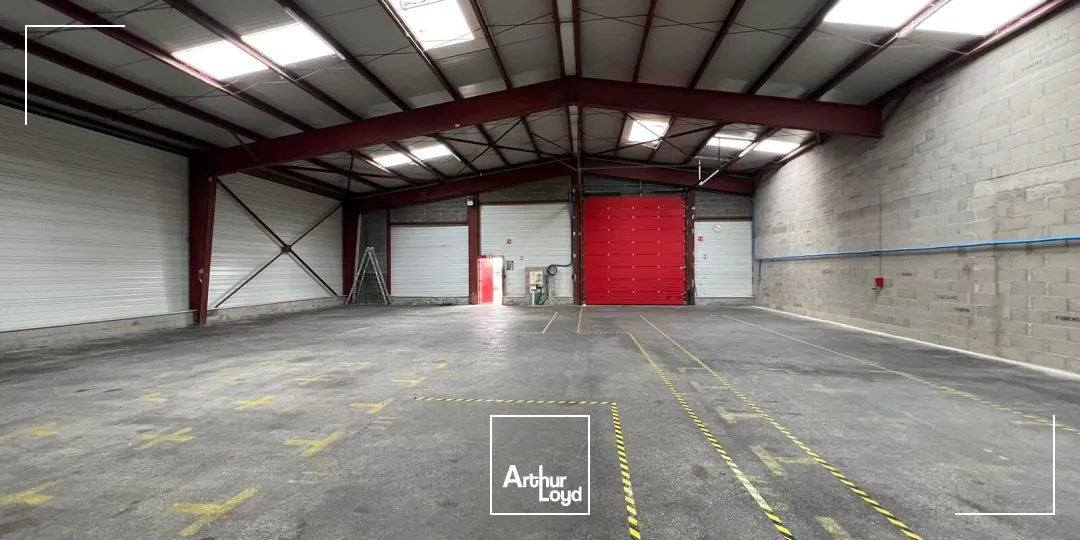 Locaux d'activité & Entrepôts - Location - SAVIGNEUX - 42600 - 342-342 - 7763325
