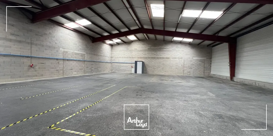 Locaux d'activité & Entrepôts - Location - SAVIGNEUX - 42600 - 342-342 - 7763324