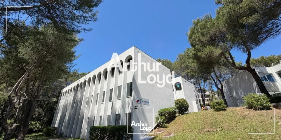 Bureaux - Vente - VALBONNE - 06560 - 200-200 - 7763582