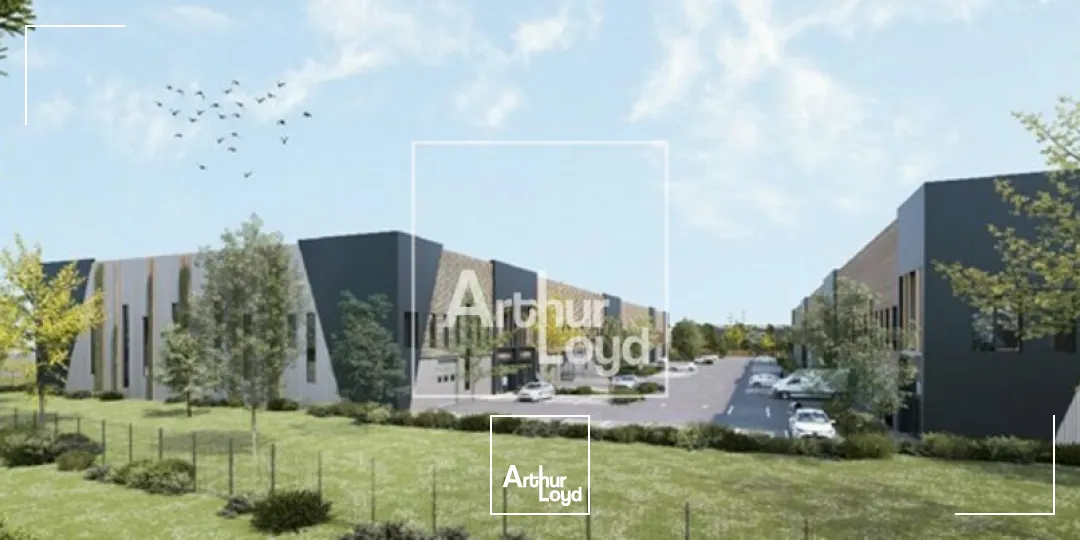 Locaux d'activité & Entrepôts - Location - WISSOUS - 91320 - 637-9501 - 7764545