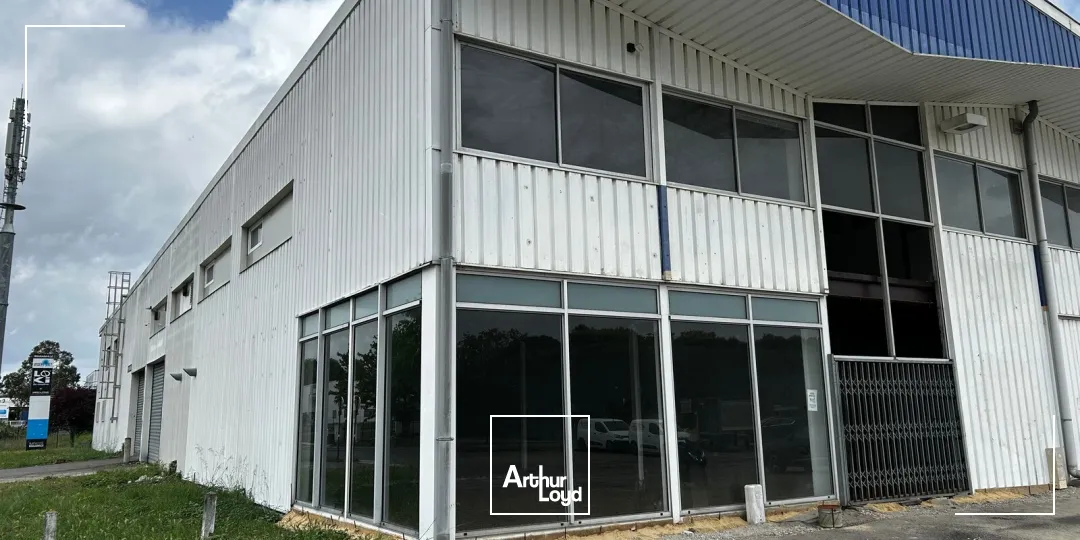 Locaux d'activité & Entrepôts - Location - BORDEAUX - 33000 - 500-500 - 7764772