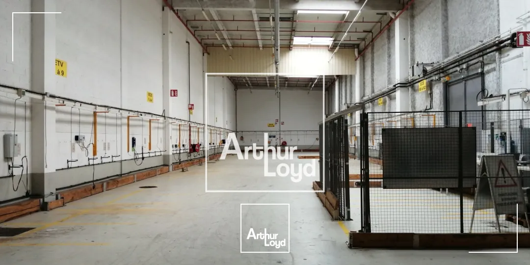 Locaux d'activité & Entrepôts - Location - BAZIEGE - 31450 - 6331-6331 - 7768447