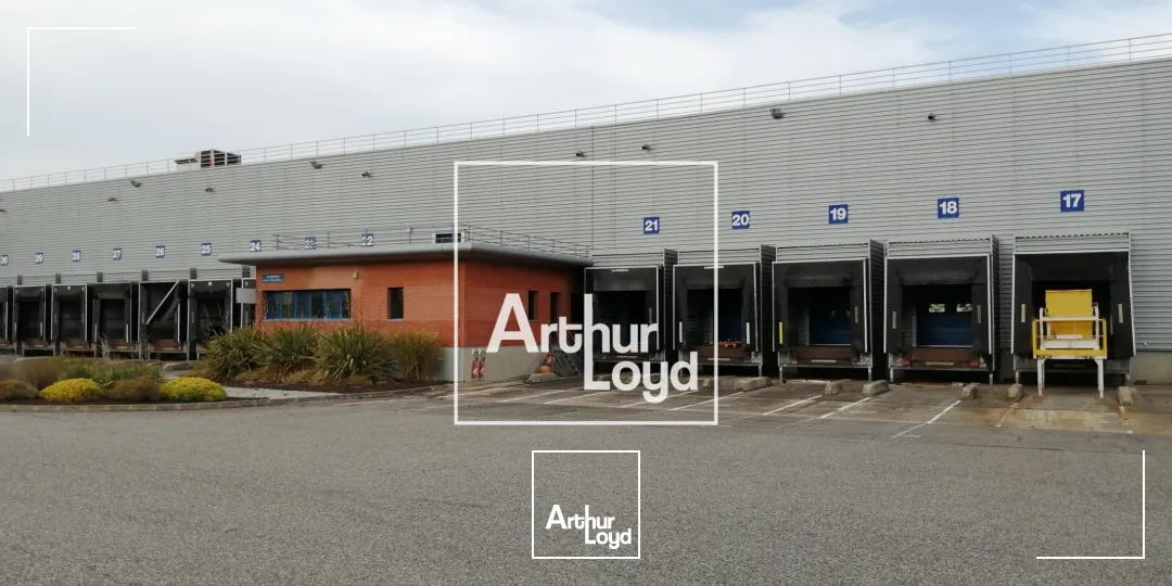 Locaux d'activité & Entrepôts - Location - BAZIEGE - 31450 - 6331-6331 - 7768438