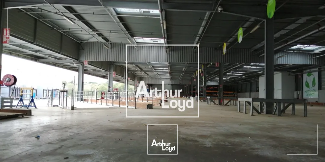 Locaux d'activité & Entrepôts - Location - BAZIEGE - 31450 - 6331-6331 - 7768440