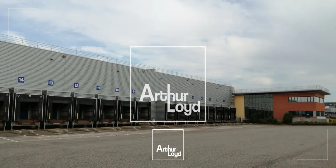 Locaux d'activité & Entrepôts - Location - BAZIEGE - 31450 - 6331-6331 - 7768437