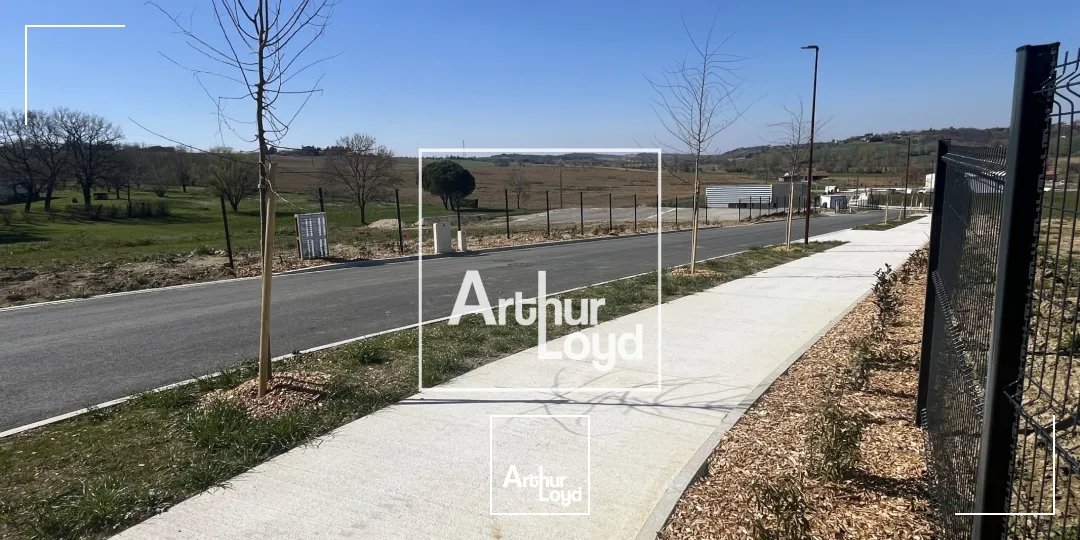Terrains - Vente - DREMIL LAFAGE - 31280 - 1269-24624 - 7768550