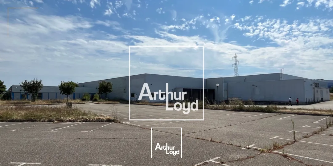 Locaux d'activité & Entrepôts - Location - MONTAUBAN - 82000 - 8529-8529 - 7768567
