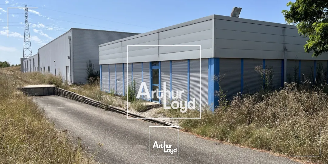 Locaux d'activité & Entrepôts - Location - MONTAUBAN - 82000 - 8529-8529 - 7768564