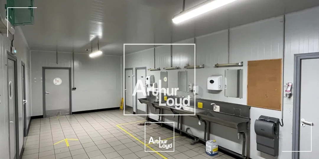 Locaux d'activité & Entrepôts - Location - MONTAUBAN - 82000 - 8529-8529 - 7768571