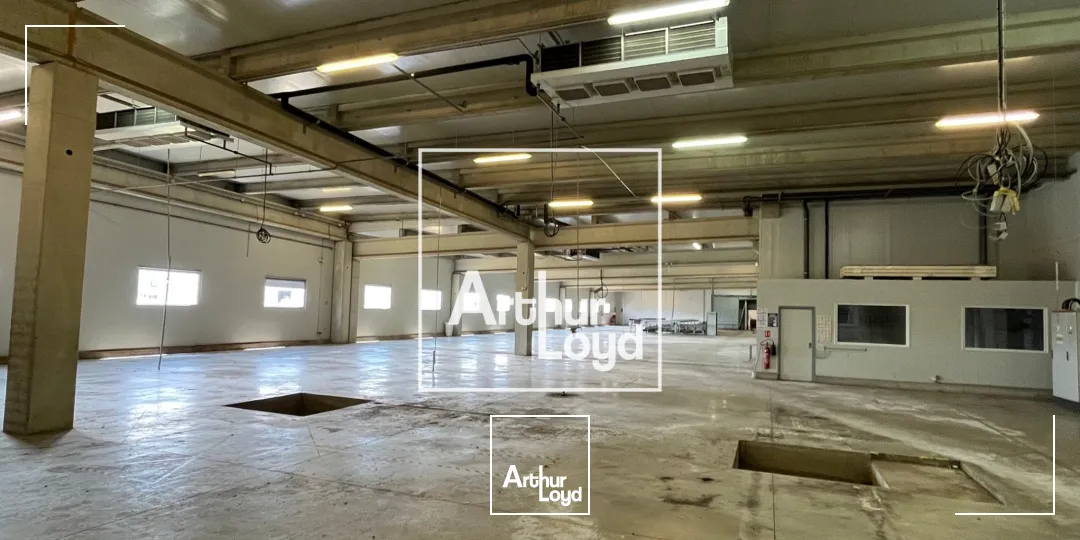 Locaux d'activité & Entrepôts - Location - MONTAUBAN - 82000 - 8529-8529 - 7768572