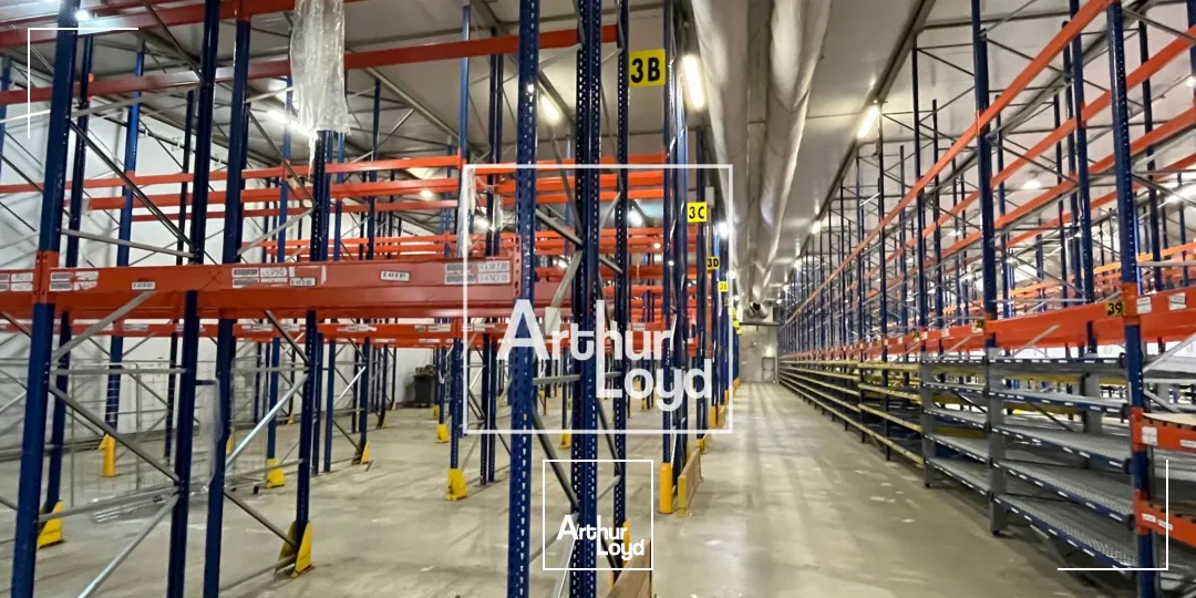 Locaux d'activité & Entrepôts - Location - MONTAUBAN - 82000 - 8529-8529 - 7768573