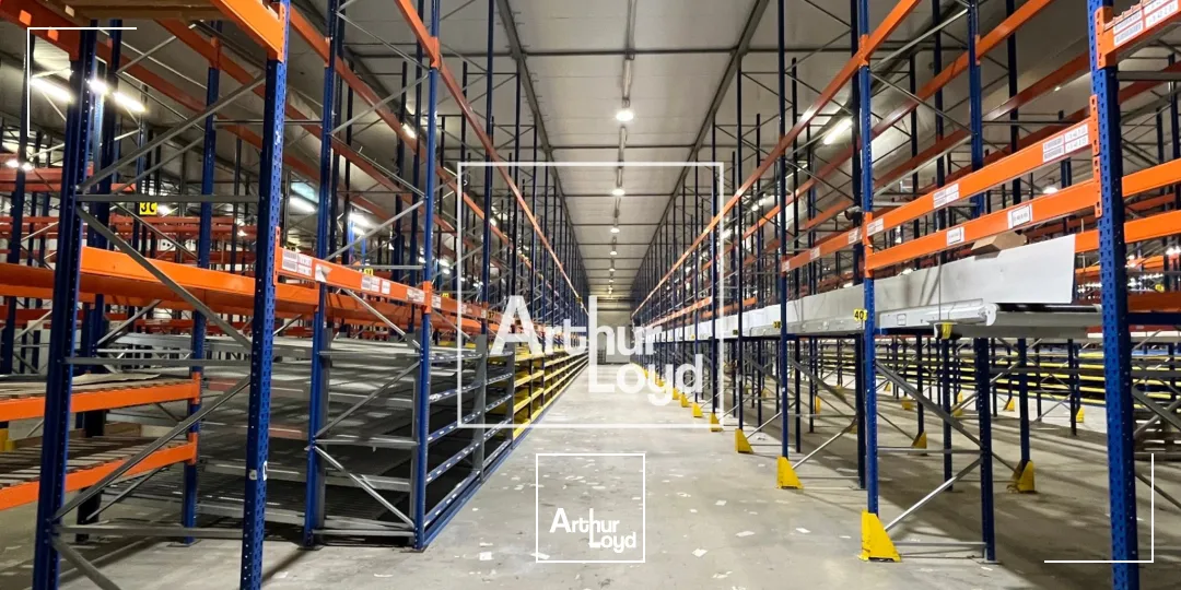 Locaux d'activité & Entrepôts - Location - MONTAUBAN - 82000 - 8529-8529 - 7768574