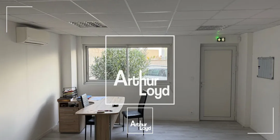 Locaux d'activité & Entrepôts - Location - PLAISANCE DU TOUCH - 31830 - 255-510 - 7768816