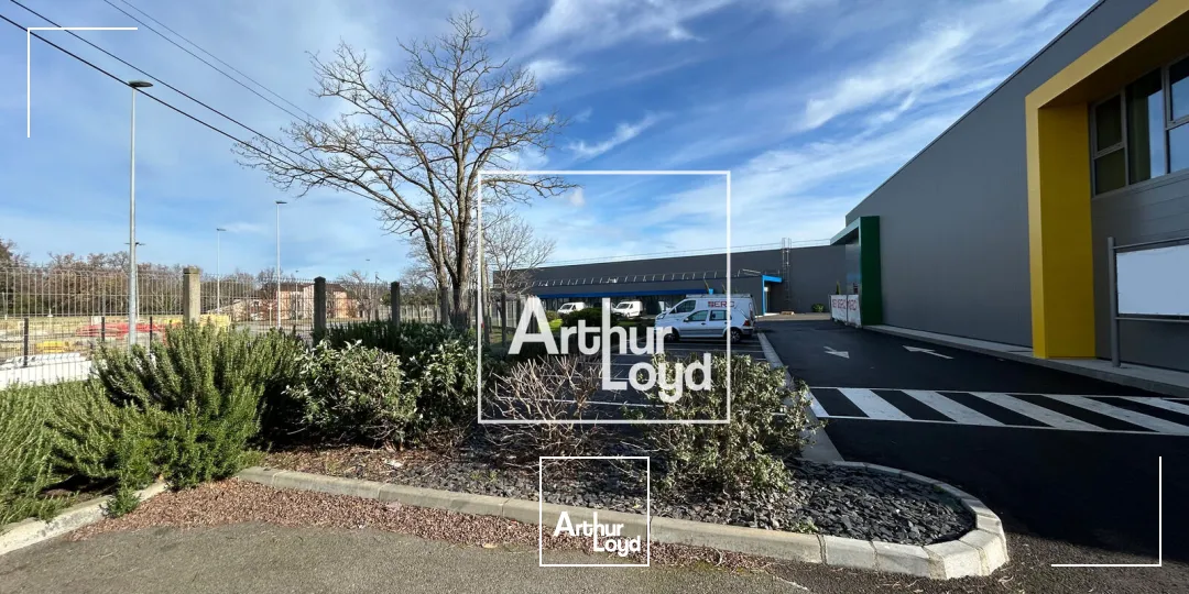 Locaux d'activité & Entrepôts - Location - COLOMIERS - 31770 - 537-537 - 7769054
