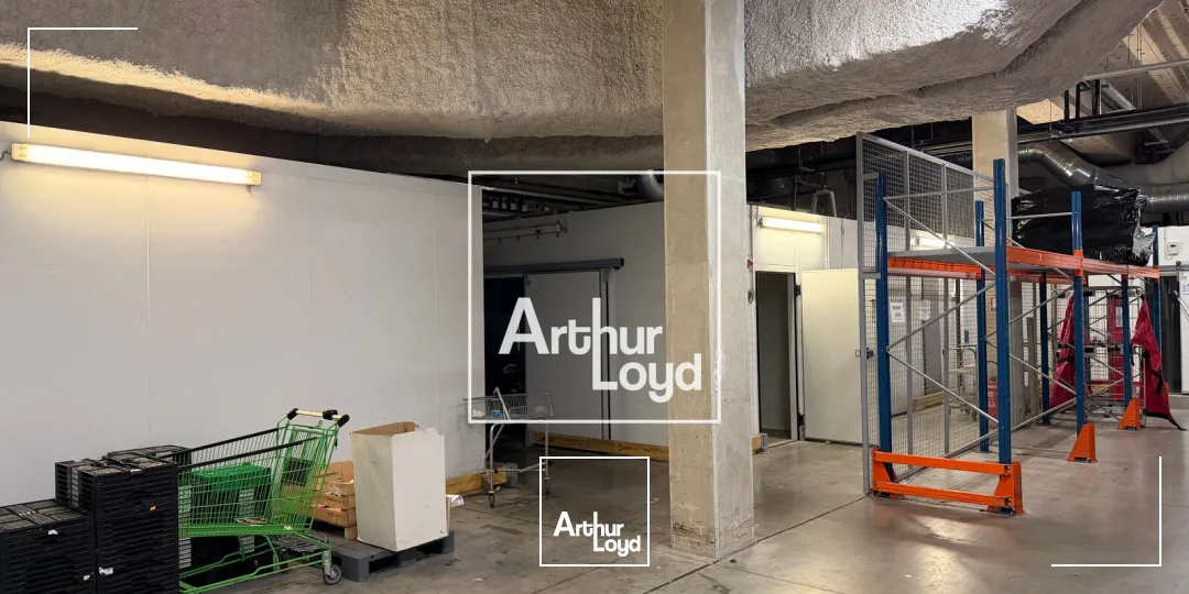 Locaux commerciaux - Location - AUZEVILLE TOLOSANE - 31320 - 2573-2573 - 7769134