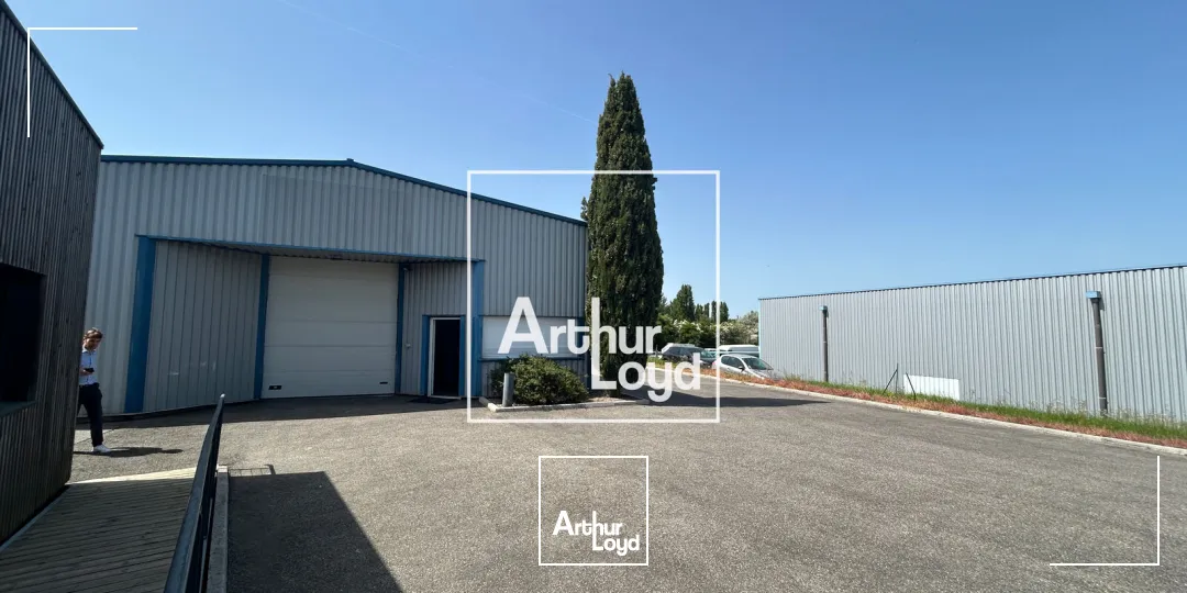 Locaux d'activité & Entrepôts - Vente - MONDOUZIL - 31850 - 665-665 - 7769491