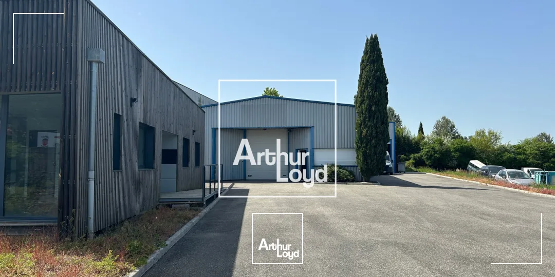 Locaux d'activité & Entrepôts - Vente - MONDOUZIL - 31850 - 665-665 - 7769489