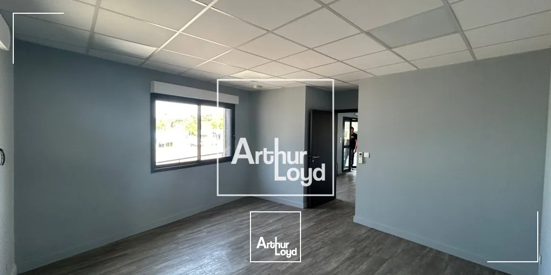 Locaux d'activité & Entrepôts - Vente - MONDOUZIL - 31850 - 665-665 - 7769499