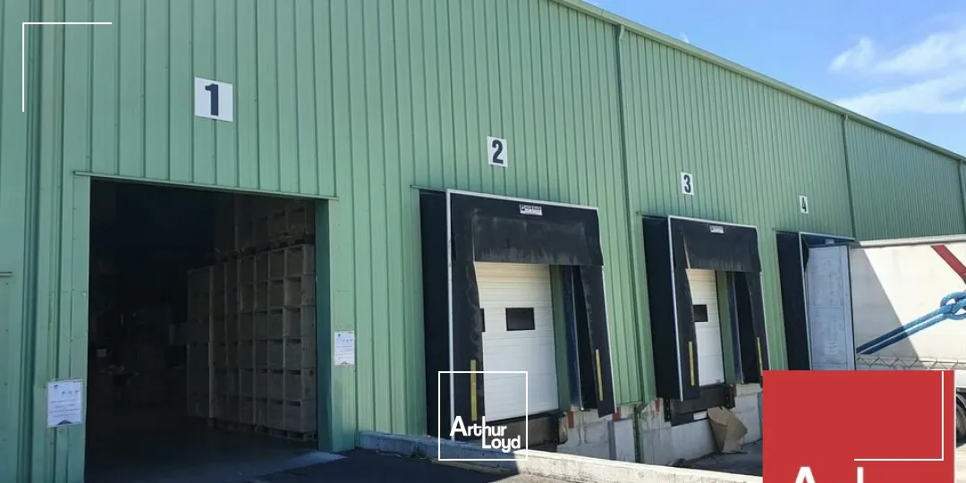Locaux d'activité & Entrepôts - Location - BOLLENE - 84500 - 6350-6350 - 7769542