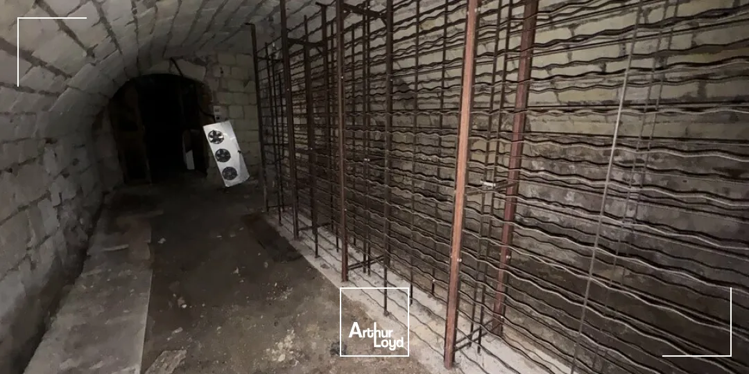 Locaux d'activité & Entrepôts - Vente - TOURS - 37000 - 44.39-44.39 - 7770566