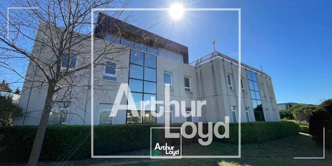 Bureaux - Location - MONTPELLIER - 34090 - 1190-1190 - 7770619