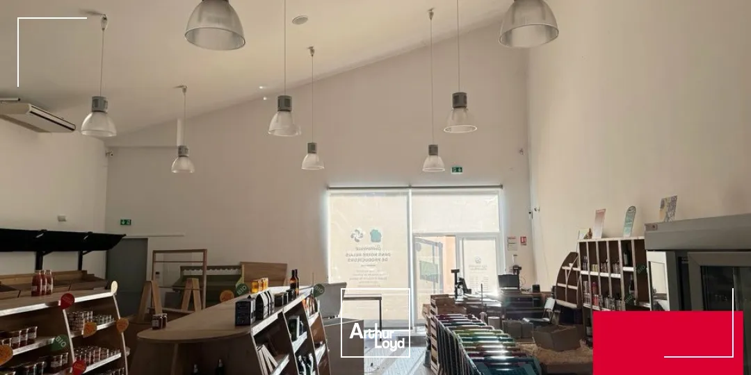 Locaux commerciaux - Location - URRUGNE - 64122 - 215-215 - 7771482
