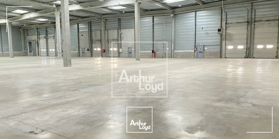 Locaux d'activité & Entrepôts - Location - COMBS LA VILLE - 77380 - 3403-6806 - 7771486