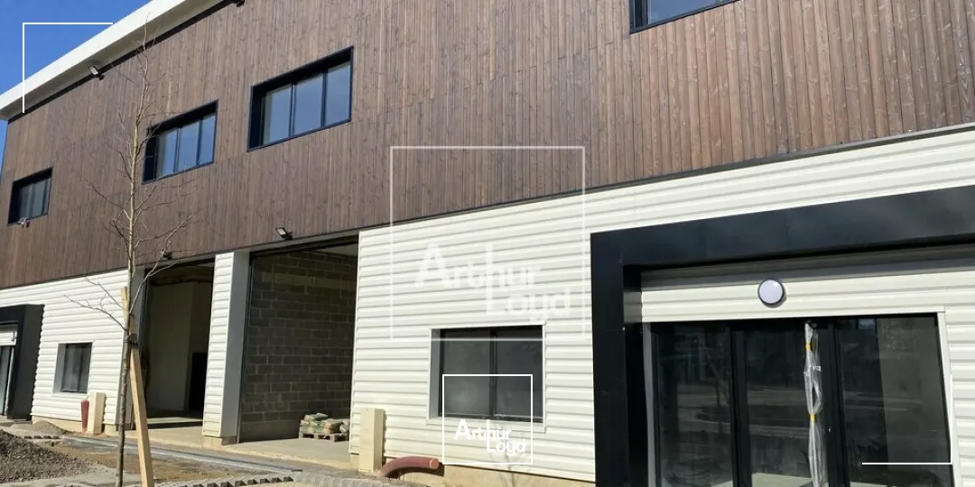 Locaux d'activité & Entrepôts - Vente - OLLAINVILLE - 91290 - 491-1922 - 7771532