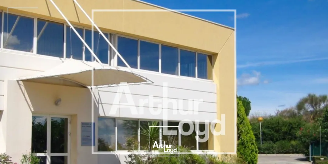 Bureaux - Location - BAILLARGUES - 34670 - 62-350.6 - 7771672